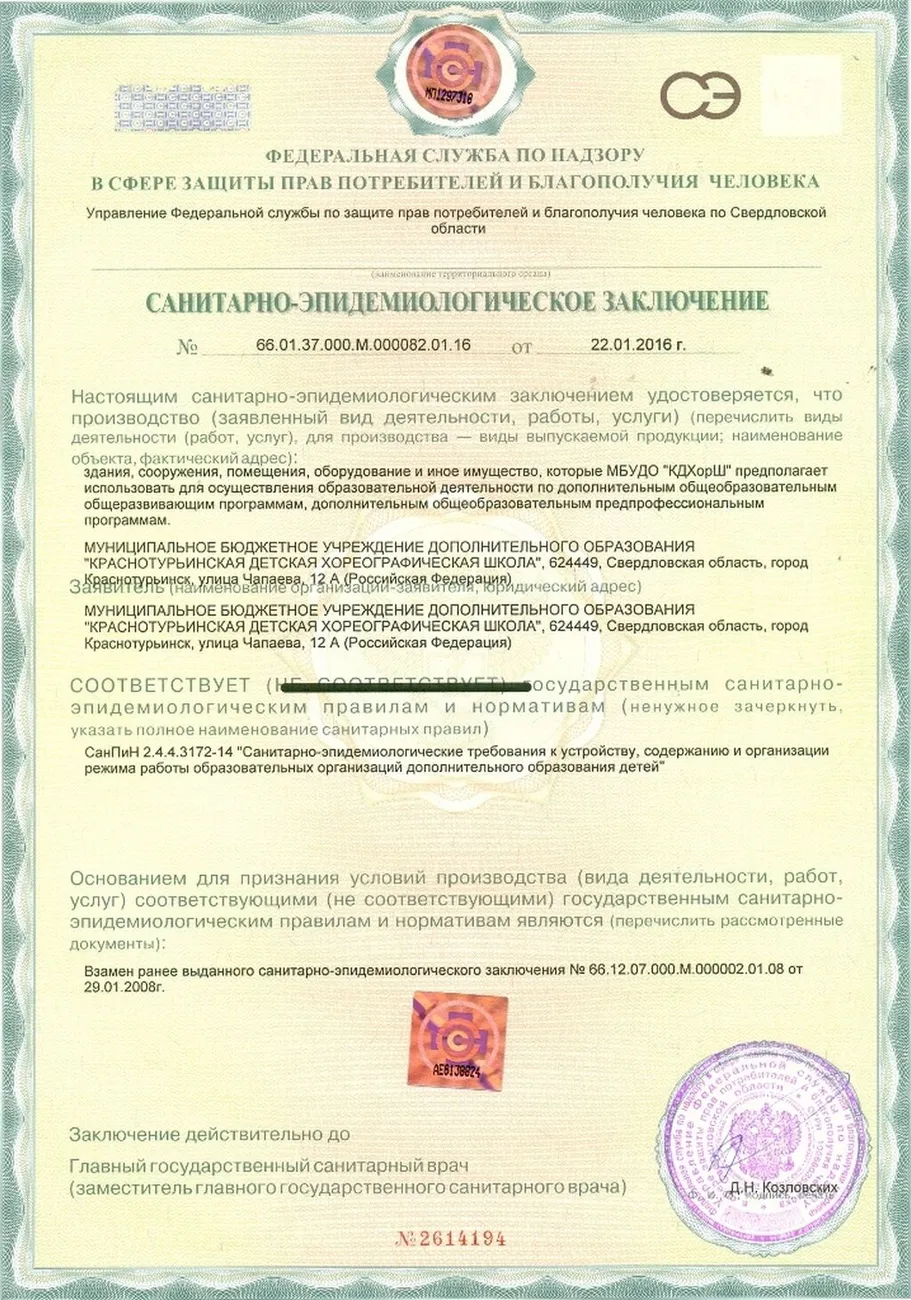 Копия заключение СЭ (1)